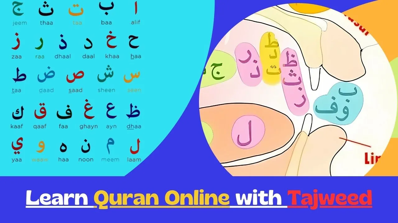 Blog Image